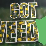 Got weed