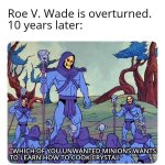 Roe v. Wade overturned meme