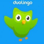 Duolingo Flying template