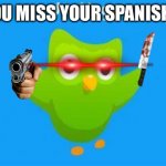 oh noes | WHEN YOU MISS YOUR SPANISH LESSON | image tagged in duolingo flying | made w/ Imgflip meme maker