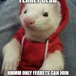 Ferret in da Club | JOIN THE FERRET CLUB; HMMM ONLY FERRETS CAN JOIN ONLY HUMANS CAN READ THIS SO YOU CANT JOIN WHY DID I MAKE THIS | image tagged in ferret in da club | made w/ Imgflip meme maker