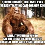 stupid humans | STUPID HUMANS, THAT ISN'T EVEN THE RIGHT MATING CALL FOR OUR KIND; STILL, IT WOULD BE FUN TO SEE THE LOOKS ON THEIR FACES IF I CAME AT THEM WITH A RAGING BONER | image tagged in sitting sasquatch,stupid humans,mating call | made w/ Imgflip meme maker