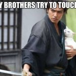 Samurai Protecting Cat | WHEN MY BROTHERS TRY TO TOUCH MY CAT | image tagged in samurai protecting cat | made w/ Imgflip meme maker