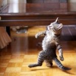 Cool Cat Stroll | YOU WALK WIERD . BUT I DON'T. | image tagged in memes,cool cat stroll | made w/ Imgflip meme maker