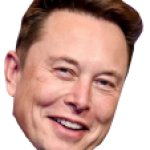 Elon Musk Head