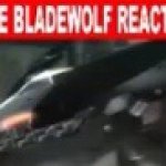 Live Bladewolf Reaction