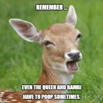 Go Home Bambi, You're Drunk | REMEMBER ... EVEN THE QUEEN AND BAMBI; HAVE TO POOP SOMETIMES. | image tagged in go home bambi you're drunk | made w/ Imgflip meme maker