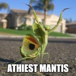 ATHEIST MANTIS | ATHIEST MANTIS | image tagged in u wat m8 mantis,athiest,praying mantis,religion,anti-religious | made w/ Imgflip meme maker