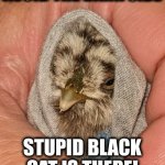 Introducing "Jedi Chick" | AVOID THE DARK SIDE; STUPID BLACK CAT IS THERE! | image tagged in jedi chick,memes,dark side | made w/ Imgflip meme maker