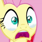 fluttershy's crying