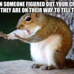 Squirll | WHEN SOMEONE FIGURED OUT YOUR CRUSH AND THEY ARE ON THEIR WAY TO TELL THEM | image tagged in squirll | made w/ Imgflip meme maker