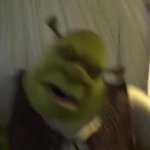 Shrek For Five Minutes gif Template meme
