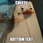 private penguin existential crisis | CHEESE; BOTTOM TEXT | image tagged in penguin,cheese | made w/ Imgflip meme maker
