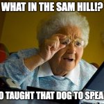 Grandma, It's a voiceover. -_- | WHAT IN THE SAM HILL!? WHO TAUGHT THAT DOG TO SPEAK?!! | image tagged in memes,grandma finds the internet | made w/ Imgflip meme maker