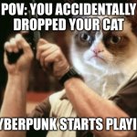 Grumpy cat | POV: YOU ACCIDENTALLY DROPPED YOUR CAT; *CYBERPUNK STARTS PLAYING | image tagged in grumpy cat | made w/ Imgflip meme maker