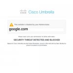 Cisco umbrella site block | google.com | image tagged in cisco umbrella site block | made w/ Imgflip meme maker