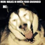 Scary husky | MOM: WALKS IN WHEN YOUR GROUNDED; ME: | image tagged in scary husky,grounded | made w/ Imgflip meme maker