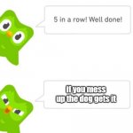 Duolingo NOOOO! | if you mess up the dog gets it | image tagged in duo gets mad,dogs,donald trump approves | made w/ Imgflip meme maker