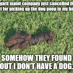 dog poop | My yard maint company just cancelled their contract for picking up the dog poop in my back yard; SOMEHOW THEY FOUND OUT I DON'T HAVE A DOG. | image tagged in dog poop | made w/ Imgflip meme maker