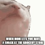 YAY! | WHEN MOM LETS YOU HAVE A SNACK AT THE GROCERY STORE | image tagged in gifs,mom,cat | made w/ Imgflip video-to-gif maker