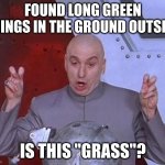 "grass" | FOUND LONG GREEN THINGS IN THE GROUND OUTSIDE IS THIS "GRASS"? | image tagged in memes,dr evil laser | made w/ Imgflip meme maker