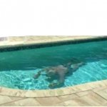 Guy Underwater