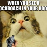 ROACHES | WHEN YOU SEE A COCKROACH IN YOUR ROOM | image tagged in memes,scared cat | made w/ Imgflip meme maker