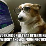 corgi hacker | WORKING ON AI THAT DETERMINES WEIGHT AND AGE FROM PHOTOS | image tagged in corgi hacker | made w/ Imgflip meme maker