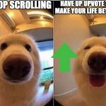 wholesome doggo | STOP SCROLLING; HAVE UP UPVOTE TO MAKE YOUR LIFE BETTER | image tagged in wholesome doggo | made w/ Imgflip meme maker
