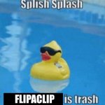 Duck | FLIPACLIP | image tagged in splish splash,duck | made w/ Imgflip meme maker