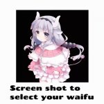 Choose waifu meme