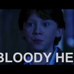 bloody hell ron weasley