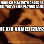 [happiness noise] | MOM: GO PLAY WITH GRASS OR SOMETHING. YOU'VE BEEN PLAYING GAMES ALL DAY; THE KID NAMED GRASS | image tagged in happiness noise | made w/ Imgflip meme maker