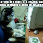 dog on computer | WHEN YOU'RE IN A MIDDLE OF A LESSON AT SCHOOL BUT YOU GO ON IMGFLIP BECAUSE THE LESSON IS EASY | image tagged in dog on computer | made w/ Imgflip meme maker