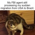 uuhhhmm... | Me: *uses VPN* My FBI agent still processing my sudden migration from USA to Brazil: | image tagged in loading cat,vpn | made w/ Imgflip meme maker