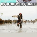 wow look  a birdie | GUYS LOOK! A BIRDIE ITS SO PRETTY, LETS CHASE IT U R NICE :) | image tagged in memes,jack sparrow being chased,funny,cats,all lives matter | made w/ Imgflip meme maker