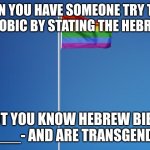 Some people really have the NERVE!!! | WHEN YOU HAVE SOMEONE TRY TO BE TRANSPHOBIC BY STATING THE HEBREW BIBLE; BUT YOU KNOW HEBREW BIBLE -____- AND ARE TRANSGENDER | image tagged in lgbtq flag | made w/ Imgflip meme maker
