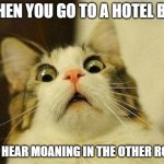 Scared Cat | WHEN YOU GO TO A HOTEL BUT YOU HEAR MOANING IN THE OTHER ROOM | image tagged in memes,scared cat | made w/ Imgflip meme maker