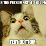 CAT | WHEN THE PERSON NEXT TO YOU FARTS. TEXT BOTTOM. | image tagged in memes,cat | made w/ Imgflip meme maker