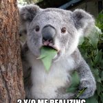 Surprised Koala Meme | POV 2 Y/O ME REALIZING MY MOM'S NAME ISN'T MOM | image tagged in memes,surprised koala | made w/ Imgflip meme maker