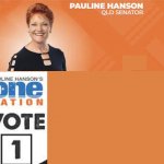 Pauline Hanson One Nation meme