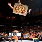 Pizza | MY DOG | image tagged in wwe,memes,meme,funny memes,funny meme,good memes | made w/ Imgflip meme maker