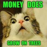 They Lied To Us | MONEY   DOES GROW  ON  TREES | image tagged in memes,scared cat,fat girl running,tuesday,toronto blue jays | made w/ Imgflip meme maker