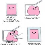 True story for me | ME ABOUT TO TEXT MY CRUSH I LIKE THEM *SENDS THE TEXT* CRUSH: "WHO ARE YOU?" | image tagged in never again,crush,jelly in box,meme,texting,rejected | made w/ Imgflip meme maker