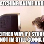 sorry, just had to make it relatable | ME WATCHING ANIME KNOWING; EITHER WAY IF I STUDY OR NOT IM STILL GONNA FAIL | image tagged in cat watching tv | made w/ Imgflip meme maker