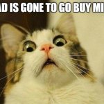 dad be like | DAD IS GONE TO GO BUY MILK | image tagged in memes,scared cat | made w/ Imgflip meme maker
