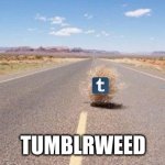 Tumblrweed | TUMBLRWEED | image tagged in tumbleweed,bad pun,pun,bad joke | made w/ Imgflip meme maker