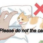 Please do not the cat