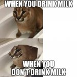 floppa in tub | WHEN YOU DRINK MILK; WHEN YOU DON'T DRINK MILK | image tagged in 2 bits floppa | made w/ Imgflip meme maker