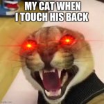 isnt this true tho? | MY CAT WHEN I TOUCH HIS BACK | image tagged in angry floppa | made w/ Imgflip meme maker